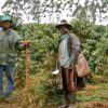 Farfell Coffee workers