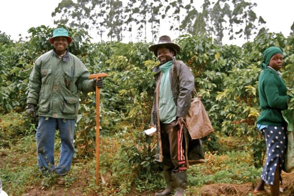 385265_314988215194205_1602099051_n Farfell Coffee workers