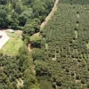 Farfell Coffee Estate